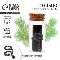 Кольцо с предсказанием новогоднее &laquo;Загадка&raquo;, на Новый год, 8 х 3 см