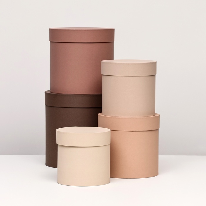 Набор шляпных коробок 5 в 1, коричневый, 23 х 23-15 х 15 см Набор шляпных коробок 5 в 1, коричневый, 23 х 23-15 х 15 см