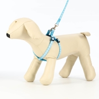 Комплект прошитый "Лапки", поводок 120 х 1 см, ОГ 23-35 см, голубой