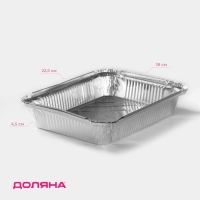 Формы для выпечки и запекания Доляна, набор 2 шт., 1.04 л, 22.5&times;18&times;4.5 см, фольга, серебристые