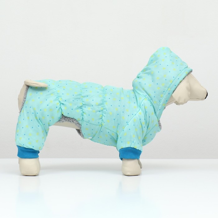 Комбинезон Комбинезон "нежный путь" на меховом подкладе, размер XXL (ДС 45, ОШ 45, ОГ 55 см), голубой