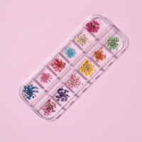 Сухоцветы для декора ногтей, 12 видов, в футляре, цвет разноцветный Сухоцветы для декора ногтей, 12 видов, в футляре, цвет разноцветный