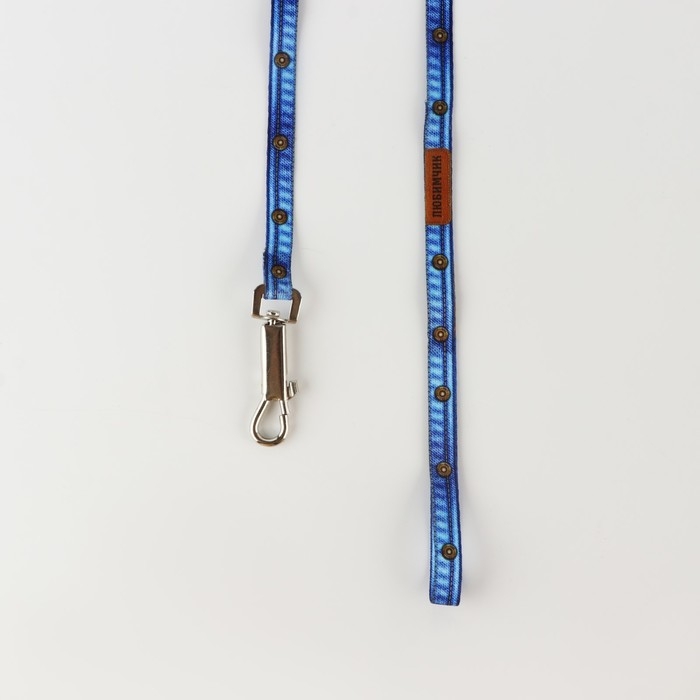 Комплект &laquo;Любимчик&raquo;, шлейка 24-36 см, поводок 120х1 см