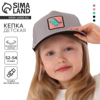 Кепка детская для мальчика «Динозаврик», цвет серый, р-р 52-54, 5-7 лет Кепка детская для мальчика «Динозаврик», цвет серый, р-р 52-54, 5-7 лет