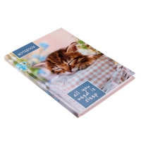 Блокнот А6, 64 листа в клетку "Соня", твёрдая обложка, глянцевая ламинация, блок офсет