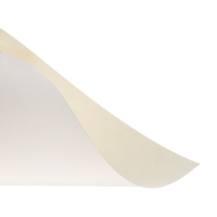 Картон белый А4, 20 листов: 10 листов мелованного плотность 200г/м2, 10 листов немелованного плотность 200 г/м2, в папке Картон белый А4, 20 листов: 10 листов мелованного плотность 200г/м2, 10 листов немелованного плотность 200 г/м2, в папке