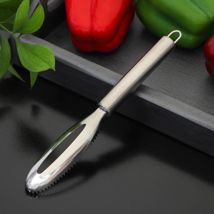 Рыбочистка Доляна &laquo;Металлик&raquo;, 16,5 см, цвет серебристый