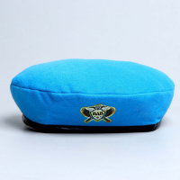 Беретка &laquo;ВДВ&raquo;, взрослая, р-р. 56-58