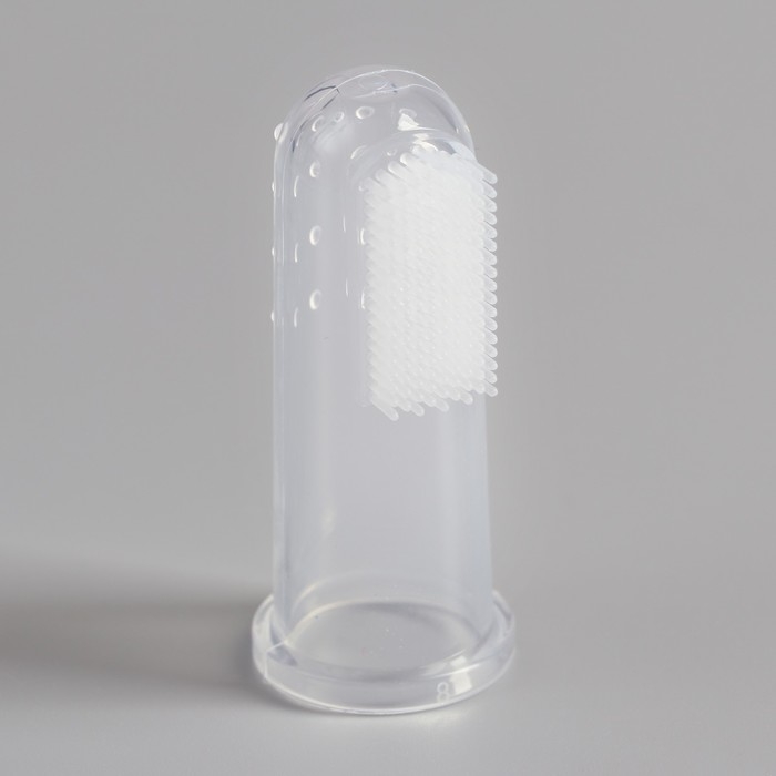 Щётка для чистки зубов животных, 5,5 х 2,5 см, голубой контейнер 7 х 4 см Щётка для чистки зубов животных, 5,5 х 2,5 см, голубой контейнер 7 х 4 см