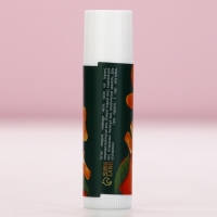 Подарочный набор косметики &laquo;Время чудес&raquo;, бальзам для губ, 2 х 10 г, Новый Год