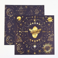 Набор бумаги для скрапбукинга «Космос внутри», 12 листов, 30.5 х 30.5 см, 180 г/м² Набор бумаги для скрапбукинга «Космос внутри», 12 листов, 30.5 х 30.5 см, 180 г/м²