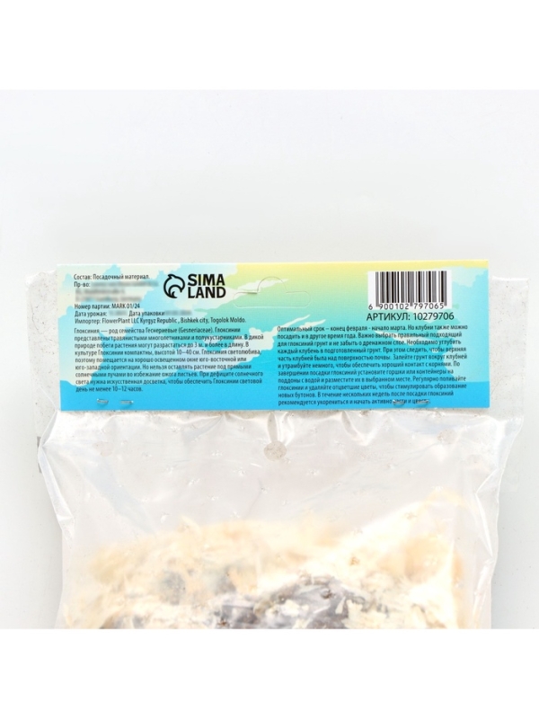 Глоксиния &laquo;Кайзер Фридрих&raquo;, многолетник, комнатный, луковица в пакете с перфорацией, р-р 5/6, 2 шт.