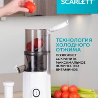 Соковыжималка шнековая SC-JE50S63