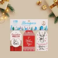 Шильдик декоративный в наборе &laquo;Верь в мечту&raquo;, 6 шт, 17 х 15 см