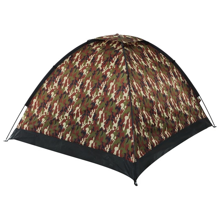 Палатка треккинговая fisht sme 3, 205 х 180 х 120  см, 3-х местная