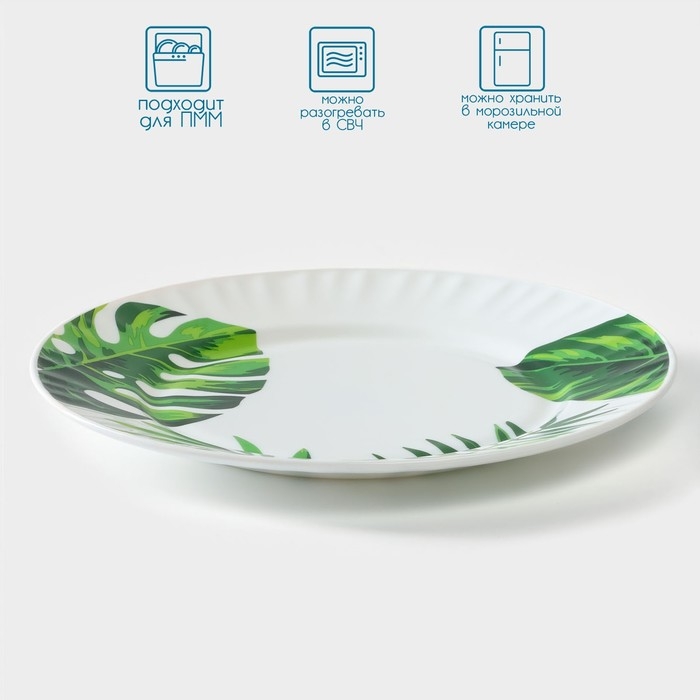 Тарелка обеденная Avvir &laquo;Лист папоротника&raquo;, d=25 см, стеклокерамика, цвет белый