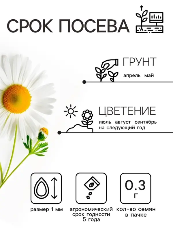 Семена цветов Ромашки "Аляска", 0,3 г