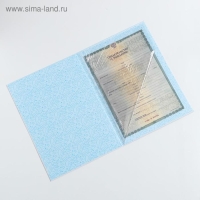 Папка для свидетельства о рождении для мальчика &laquo;Кошечка&raquo;, А4