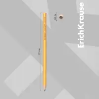 Карандаш чернографитный ErichKrause Amber 100, НВ, грифель d=2,2 мм, дерево, шестигранный, в тубусе