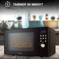 Микроволновая Печь HYM-D3033 20л. 700Вт черный