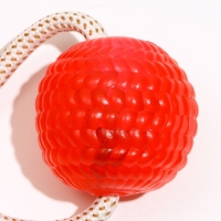 Игрушка для собак "Шар на присоске", 40 см, микс цветов Игрушка для собак "Шар на присоске", 40 см, микс цветов