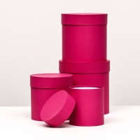 Набор шляпных коробок  4 в 1 "Малина", 20 &times; 20 ‒13 &times; 13 см