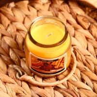 Свеча в банке "Корица, апельсин" 100 гр (вес брутто 247 г) 6х9х9 см