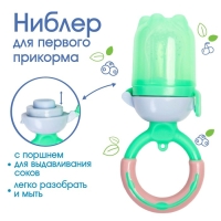 Ниблер для прикорма &laquo;Яблоко&raquo;, с силиконовой сеточкой, цвет зелёный