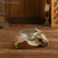 Вазон стекло на коряге "Блюдо" 15х15х8 см