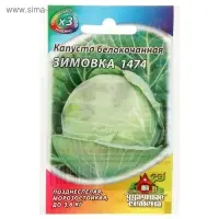 Семена Капуста белокочанная "Зимовка 1474", для хранения, 0,1 г  серия ХИТ х3
