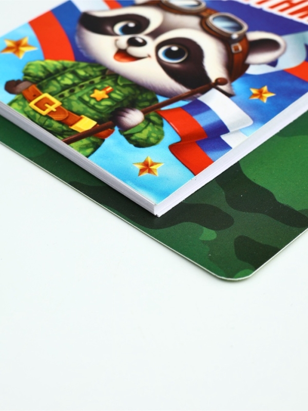 Подарочный набор, блокнот 9&times;10.4 см и мини-ручка &laquo;Отважному защитнику. Енотик&raquo;