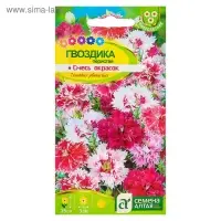 Семена цветов Гвоздика "Перистая", ц/п,  0,1 г