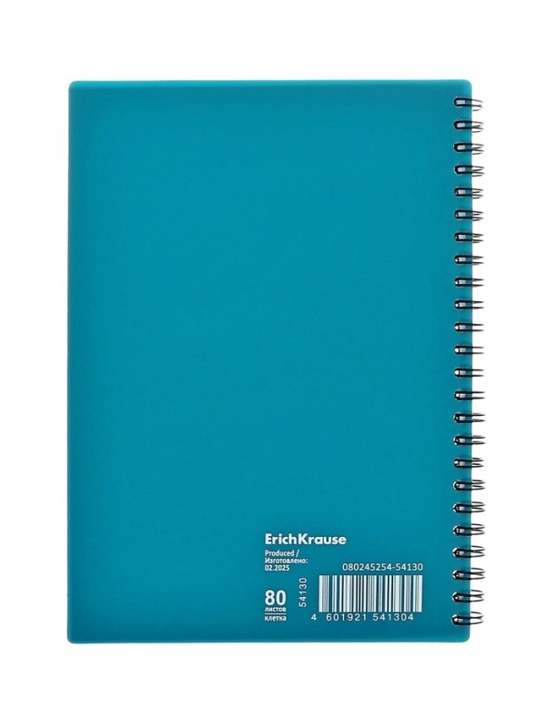 Тетрадь А5 80л кл на гребне ErichKrause Reef, пласт обл, блок оф, бирюз