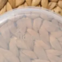 Контейнер круглый Доляна, пищевой, 500 мл, прозрачный, крышка синяя