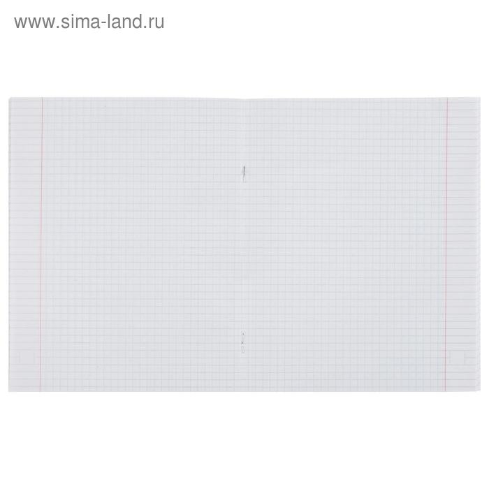 Тетрадь 48 листов в клетку Calligrata "В точку", обложка мелованный картон, блок офсет, МИКС