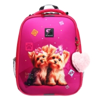 Рюкзак каркасный школьный 38 х 30 х 16 см, эргономичная спинка, Stavia "Йорки", розовый