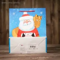 Пакет подарочный &laquo;Письмо от Деда Мороза&raquo;, 26 х 32 х 12 см