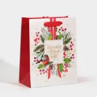 Пакет подарочный новогодний ламинированный &laquo;Чудесного Нового Года&raquo;, MS 18 х 23 х 10 см