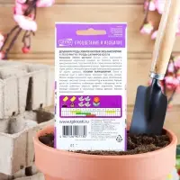 Семена цветов Дельфиниум "Гроздь Сапфиров", 0,2 г