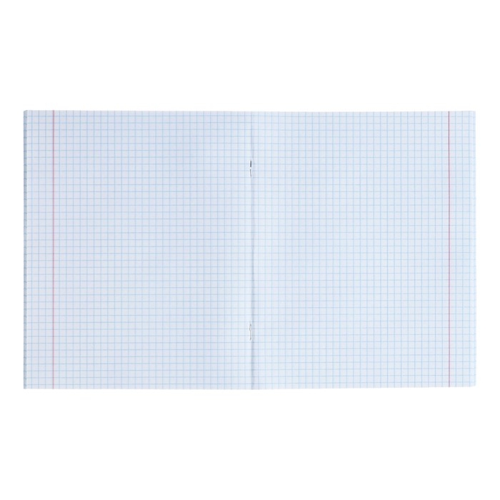 Тетрадь предметная Calligrata TOP "Школьный стиль", 48 листов в клетку Физика, со справочным материалом, пластиковая обложка, блок офсет