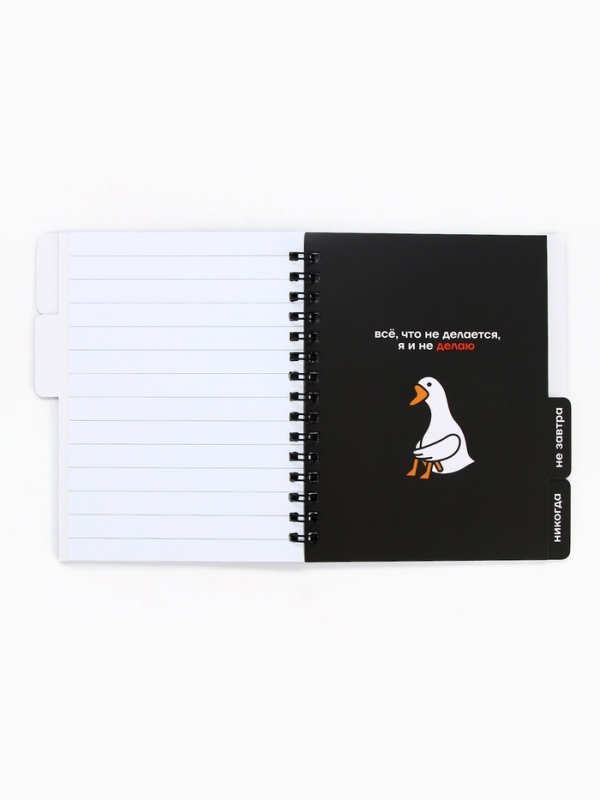 Блокнот с разделителями А6, 48 листов "Ленивый блокнот"