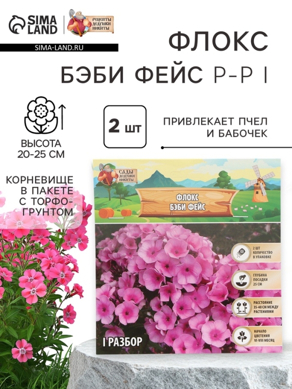 Флокс &laquo;Бэби Фейс&raquo; корневище в пакете с торфогрунтом, р-р I, 2 шт.