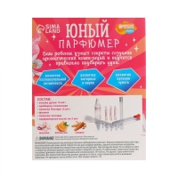 Набор для творчества. Юный парфюмер «Прекрасной девочке» Набор для творчества. Юный парфюмер «Прекрасной девочке»