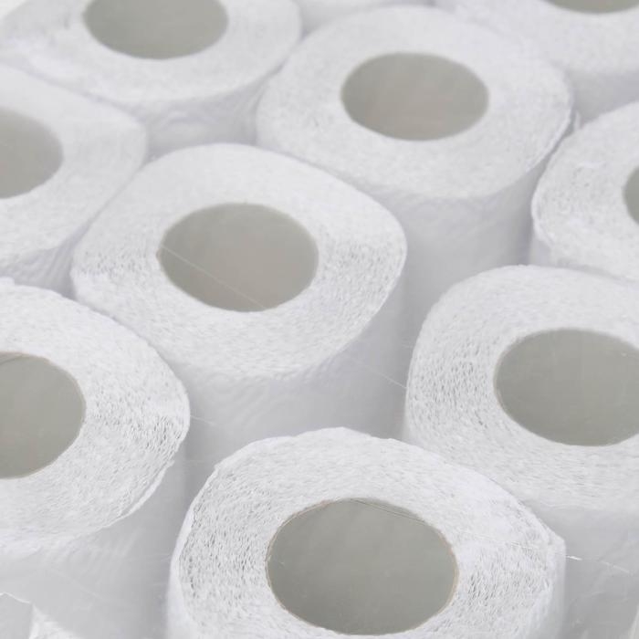 Туалетная бумага &laquo;Вятская&raquo;, 2 слоя, 12 рулонов