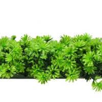 Декоративная панель, 50 ×50 см, «Высокий мох», Greengo Декоративная панель, 50 ×50 см, «Высокий мох», Greengo