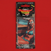 Ароматизатор подвесной Cartage Hot Series, набор 6 шт Ароматизатор подвесной Cartage Hot Series, набор 6 шт