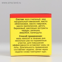 Мазь монастырская &laquo;От псориаза&raquo;, 25 мл