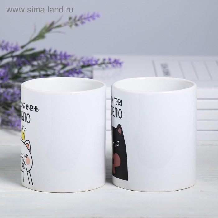 Кружки &laquo;Нам так повезло&raquo;, 300 мл, 2 шт.