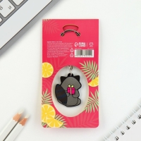 Брелок для ключей акриловый &laquo;Енот&raquo;, 7.2 х 14 см