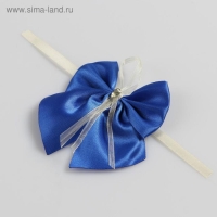 Бант-бабочка свадебный для декора, атласный, 2 шт, синий Бант-бабочка свадебный для декора, атласный, 2 шт, синий